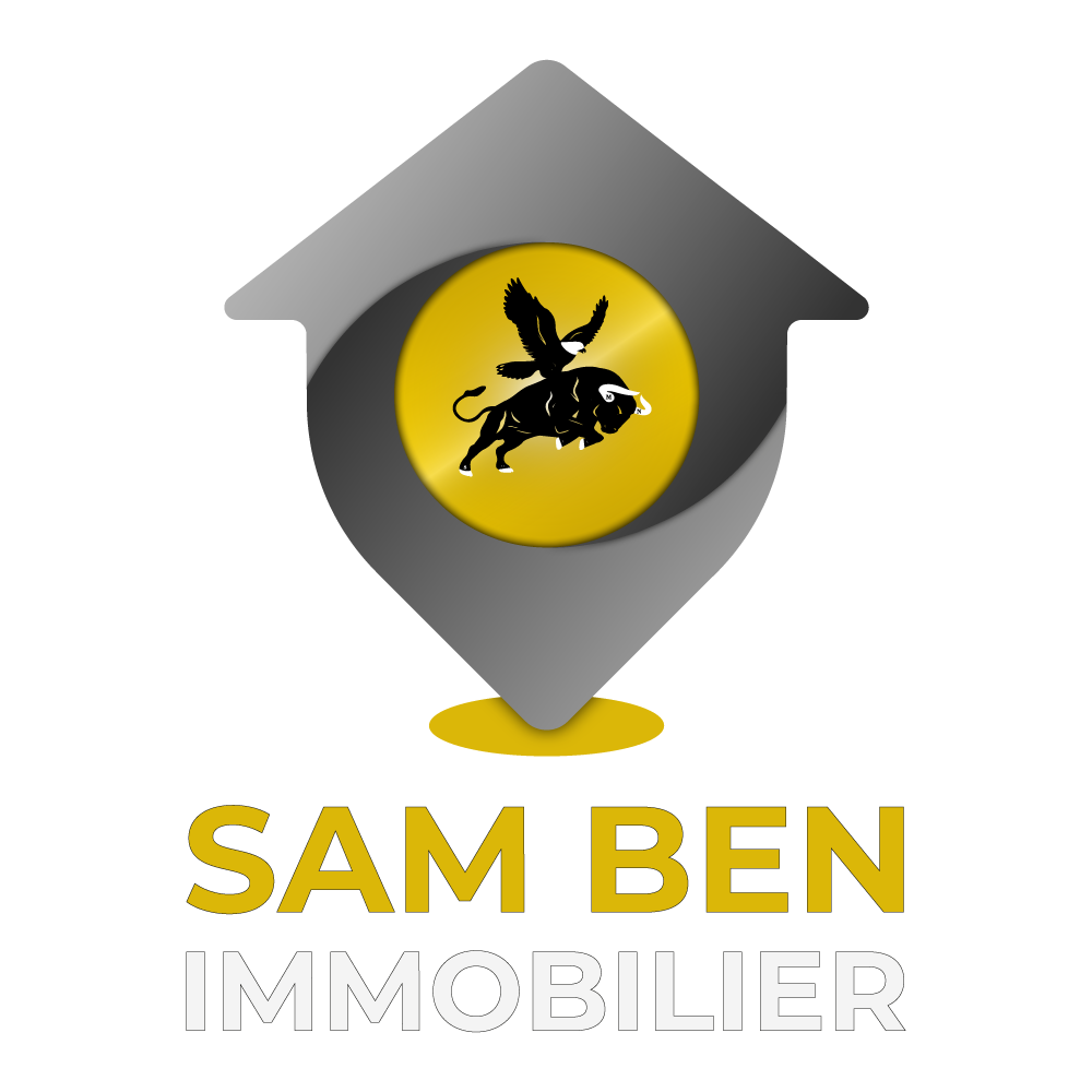Logo filiale Mr Sam ben