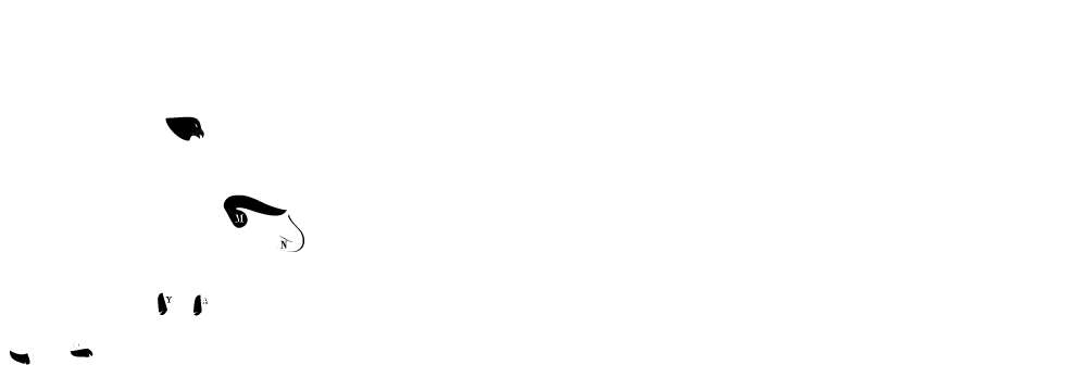 SAM BEN COMPANY
